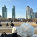 서명 | 경기도 토허제 약정서 작성 후기 서류, 서명, 법무사 대행