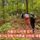 이화산림