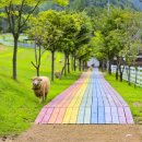 핀란드 작은마을 이미지