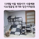 하온마켓 | 당근마켓에서 구매한 디오정글짐 13개월 아들쌍둥이 사용후기