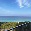 GS25 강릉제일점 | [숙소] 강릉 신라 모노그램 호텔 오션뷰 숙소/ 수영장/ 조식/ 편의점/ 헬스장 상세 후기 및 꿀팁 대방출