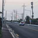 오션팔레드 이미지