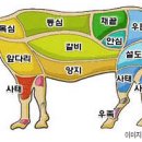 한우한마리 이미지