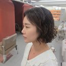 라니,살롱