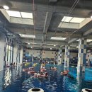 돈이돼지 이미지