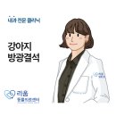 경상동물병원 | 개포동 동물병원 내과전문클리닉 : 강아지 혈뇨 / 방광결석 / 방광염 치료 후기