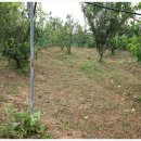 남곤농장 이미지