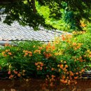 구소석길 이미지