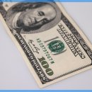 반려동물관리사자격증 이미지