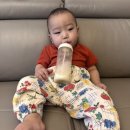 (2편) 10개월 아기 여름옷 쇼핑 후기｜꼬숑•드타미 프로젝트•피넛포레스트•던스•얼리틀