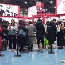 펫 프렌즈 이미지