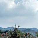 어천농장 이미지