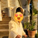 바닷가작은숲 이미지