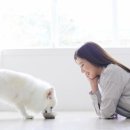 가족약국 이미지