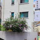 언주역꽃집 색감 그림같이 예쁜 매장 _ 오도르피우다