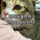 만박동물병원 이미지