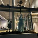 부경초장 이미지