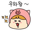 보현산칼국수 이미지