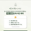 헤어볼하우스 | 범계역미용실 도하우스헤어살롱 슬기디자이너 여성펌 후기