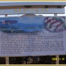 두대 이미지