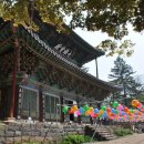 마곡사3 이미지