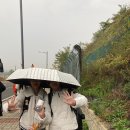 시온투어주 이미지