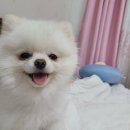 네일디테 이미지