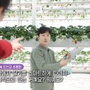 지경구농장 네이버블로그