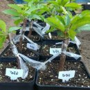 백곡농장 이미지