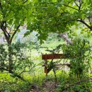 물맑은집 이미지