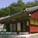최강수 카카오 검색결과