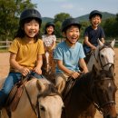 하이힐펜션 | 양평 승마체험 추천 – 말과 함께하는 힐링 여행!