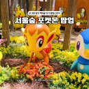 서울숲 포켓몬 포레스트 팝업 3일 뒤 종료, 웨이팅 예약 굿즈까지