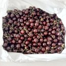 썬리지 | [Review]썬리지 항공직송 워싱턴 생체리 대용량 5Kg