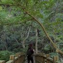 지리산둘레길민박 | 행복 가득했던 남원 지리산 둘레길 3코스(인월, 산내면) 후기.