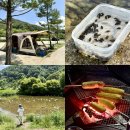 원주 무료 노지 캠핑장, 다슬기 많은 아랫당숲 1박 2일 후기