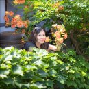 까페능소화 이미지