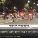 2023년 광복절에 또 나타난 폭주족들 ㄷㄷㄷ. gif 이미지