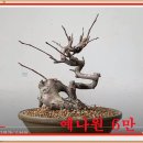 예나원