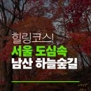 남산길 | 서울 도심 속 힐링 코스, 새로 생긴 남산 하늘숲길 다녀온 후기