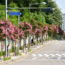 화양로 이미지
