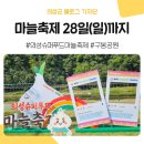 제8회 아세안축제 | 2025 경북 가을 가볼만한 곳 :: 특산물 마늘과 친해지는 제8회 의성슈퍼푸드마늘축제 행사 1일차 후기