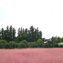 서광리-9 이미지