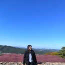 대구 근교 가을 명소 가산수피아 핑크 뮬리 후기