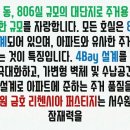 수원-1877 이미지