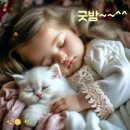 세종이안