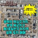 세교공인중개사사무소 | 평택세교지구 제1종일반주거지역 알짜 토지 매매/백세공장주TV(no.133)