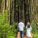 건영목장 이미지