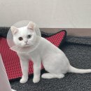 해피올동물병원 이미지