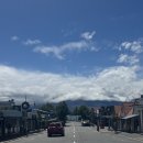 버드나무약국 | 와나카 일기 :: 노후는 여기서 보내기로 결정했어요